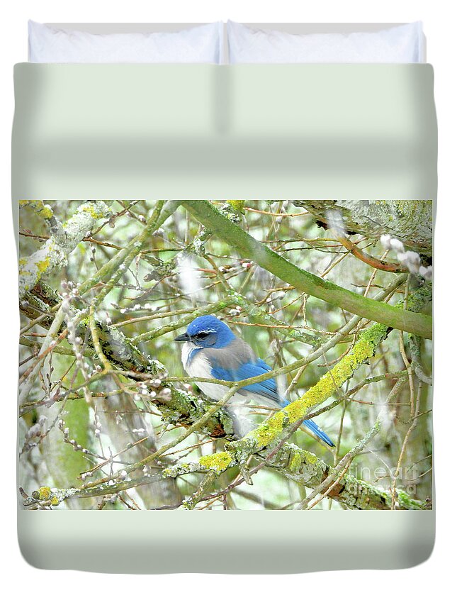 Bluejay Duvet Cover featuring the photograph Beautiful Blue Bird by Scott Cameron