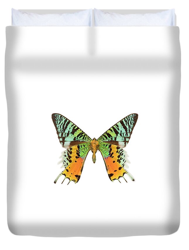 White Background Duvet Cover featuring the photograph Beautiful Butterfly by Magnetcreative