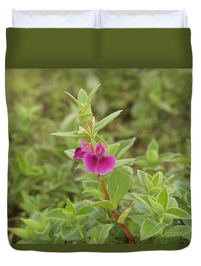 Beautiful Flowers Duvet Cover featuring the photograph Beautiful Flowers by Atul Kolte