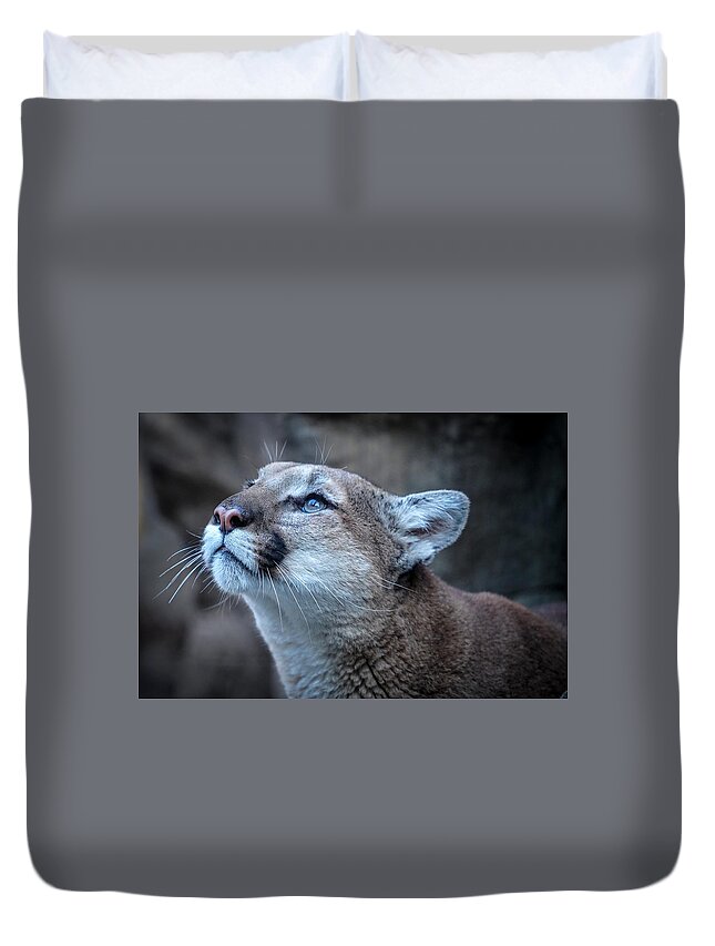 Africa Duvet Cover featuring the photograph Beautiful Puma by Susan Rydberg