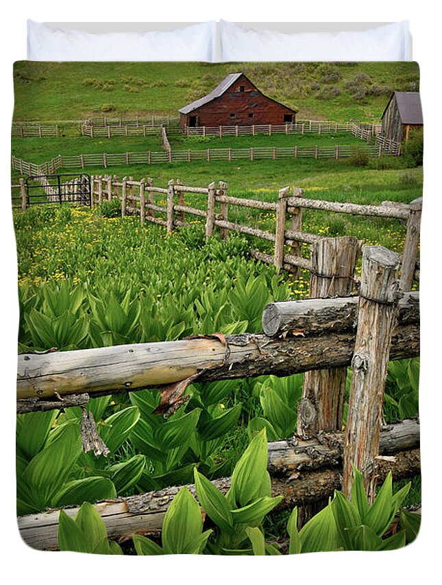 Colorado Duvet Cover featuring the photograph Beautiful Ranch Scene in Colorado by Ray Mathis