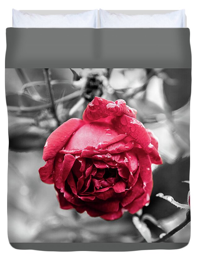 Photo Duvet Cover featuring the photograph Beautiful Red Rose by Jason Hughes