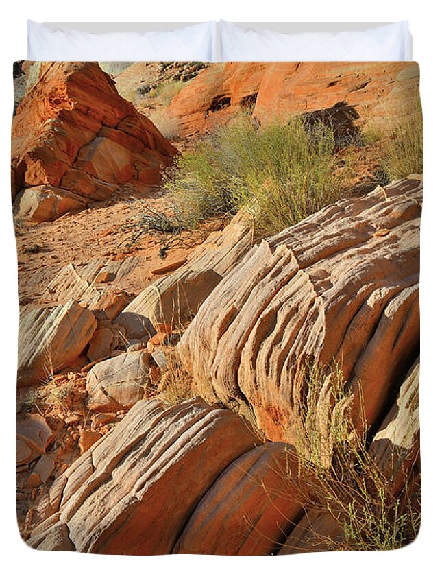 Valley Of Fire State Park Duvet Cover featuring the photograph Beautiful Sandstone Cove in Valley of Fire by Ray Mathis