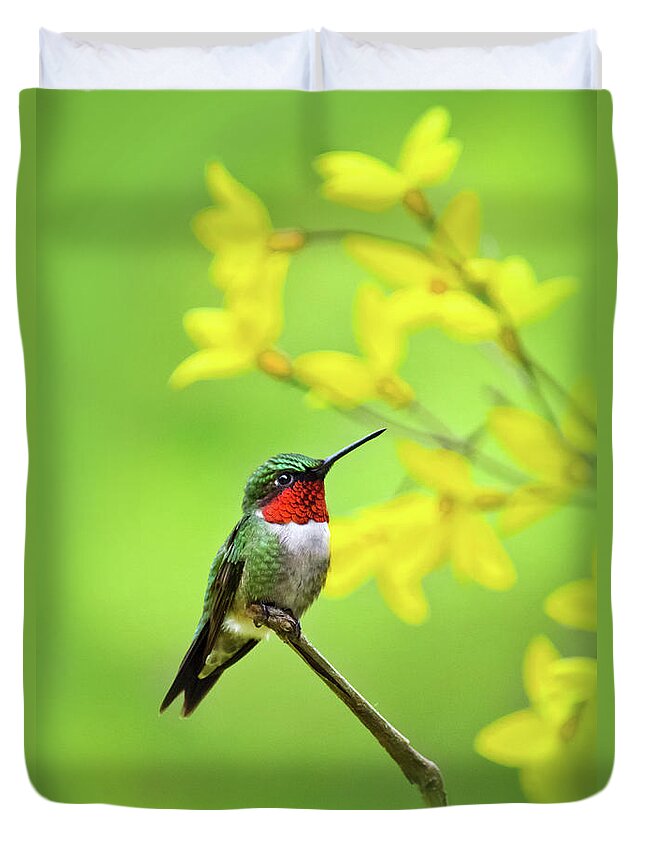 Hummingbird Duvet Cover featuring the photograph Beautiful Summer Hummer by Christina Rollo