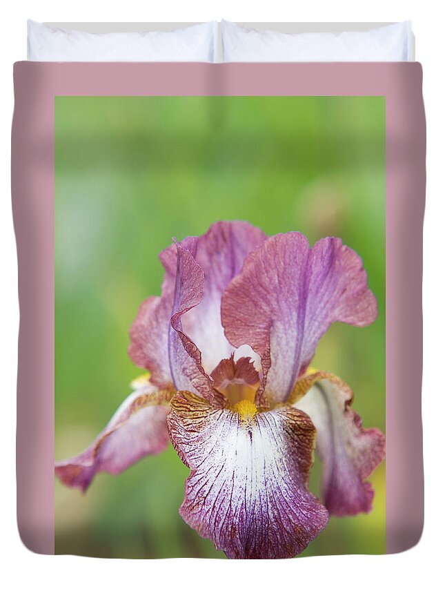 Beauty Of Irises Harlequin Duvet Cover For Sale By Jenny Rainbow