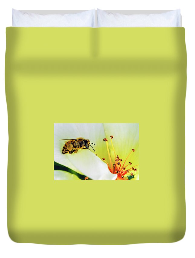 Bee Duvet Cover featuring the photograph Bee by Bill Frische