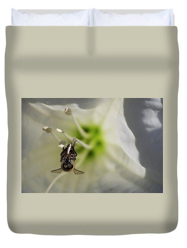 Datura Duvet Cover featuring the photograph Bee in Datura by Jonathan Thompson