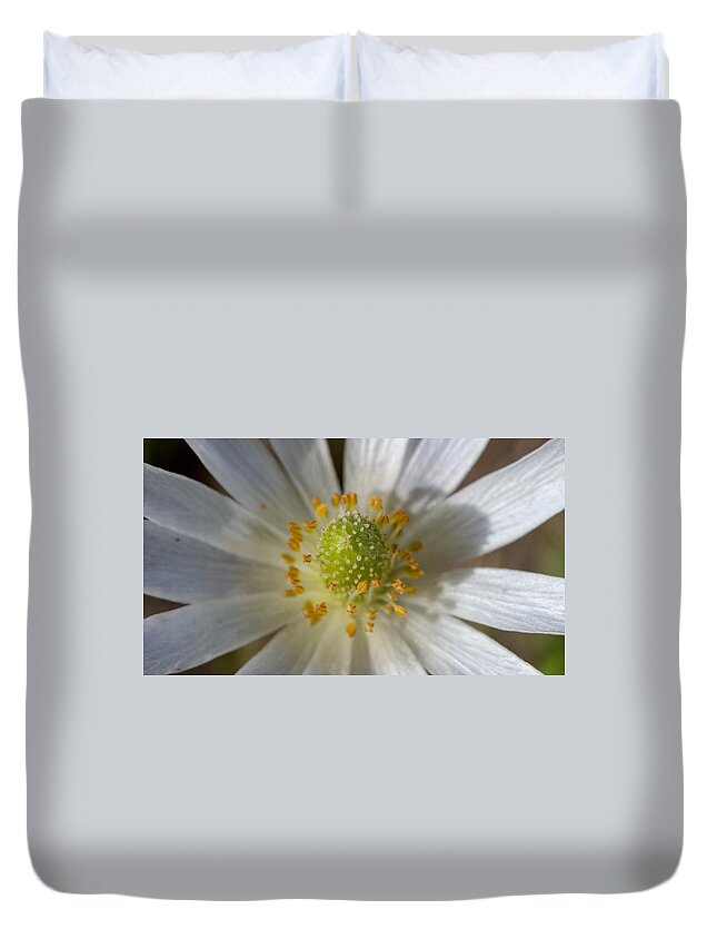 Flower Duvet Cover featuring the photograph Bee Waiting by Ivars Vilums