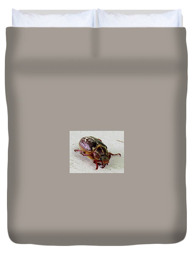 Bugs Duvet Cover featuring the photograph Beetle by Linda Stern