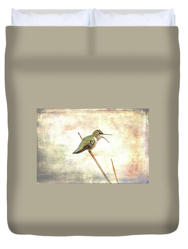 Hummingbird Duvet Cover featuring the photograph Begging to Be Fed by Jennifer Grossnickle