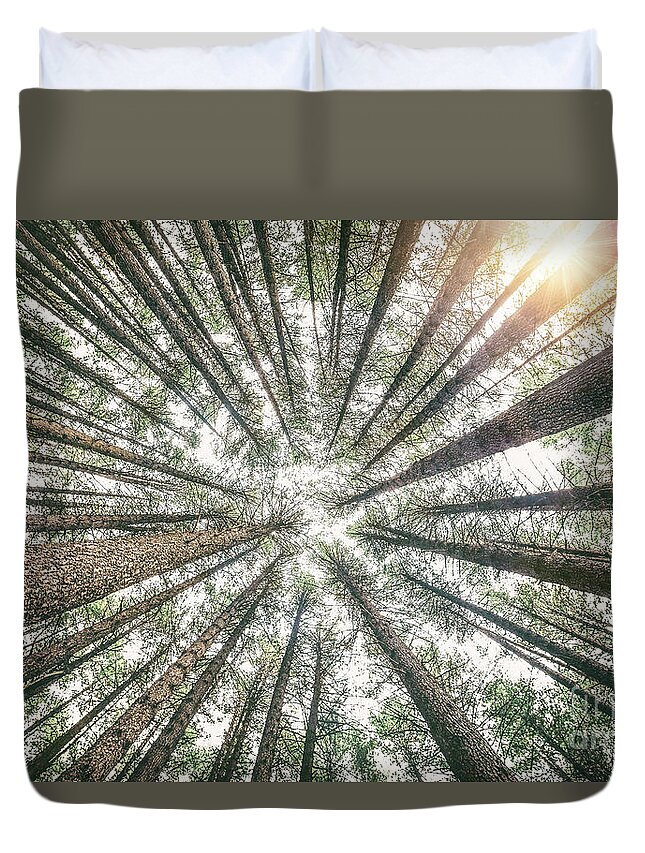 Kremsdorf Duvet Cover featuring the photograph Below The Treetops by Evelina Kremsdorf