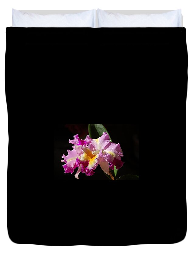 Orchid Duvet Cover featuring the photograph Best Cattleya by Nancy Ayanna Wyatt