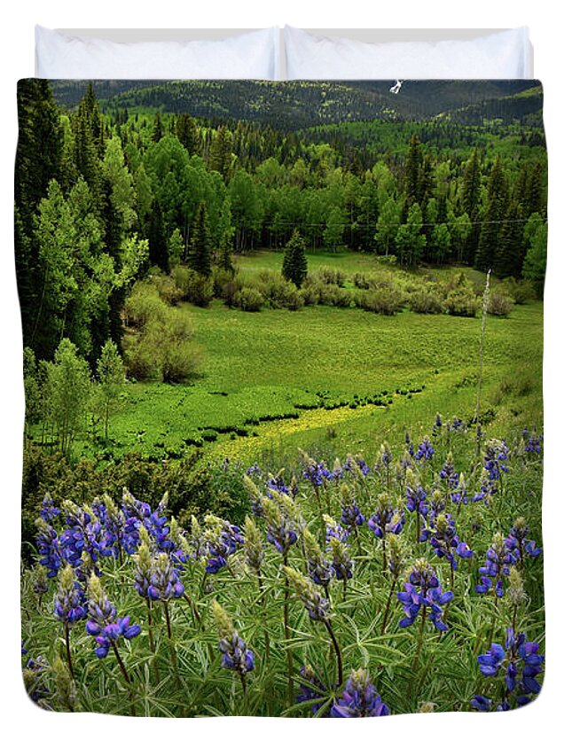 Highway 50 Duvet Cover featuring the photograph Big Cimarron Lupine by Ray Mathis