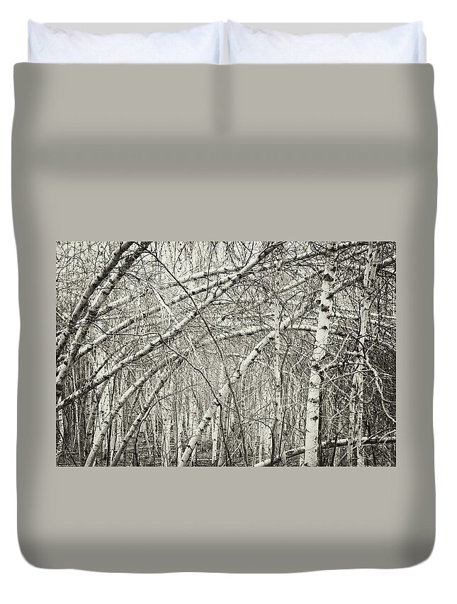 Damaged Duvet Cover featuring the photograph Birch Forest by Shaunl
