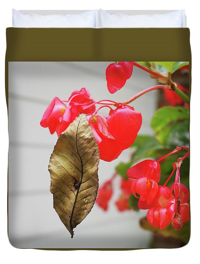 River Birch Leaf Duvet Cover featuring the photograph Birch Leaf On Begonia by Alida M Haslett