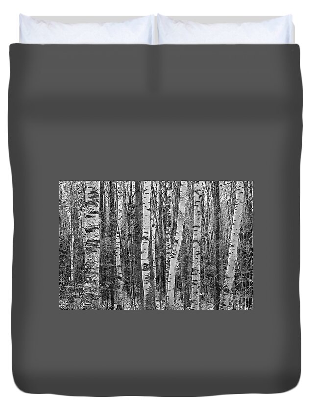 Nature Duvet Cover featuring the photograph Birch Stand by Ron Kochanowski