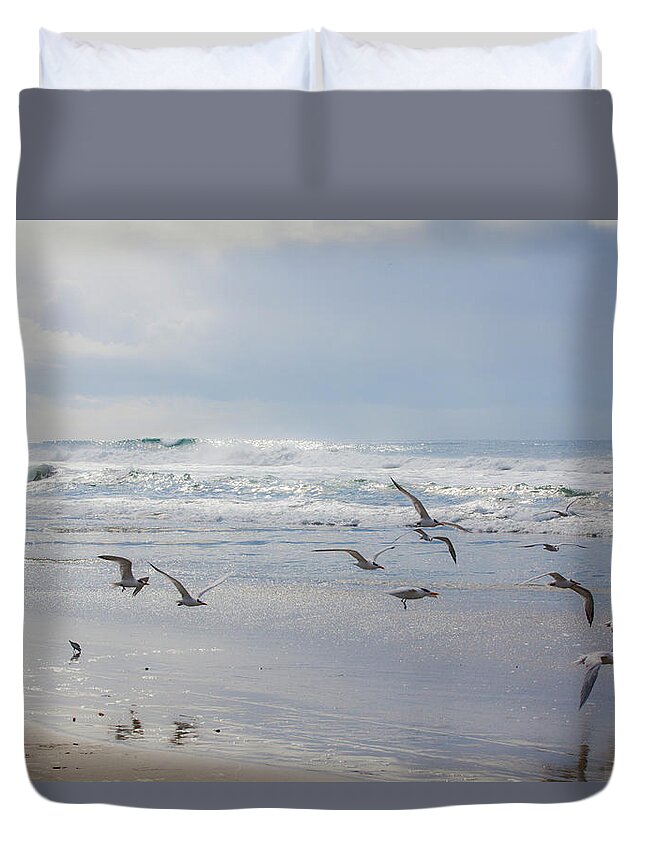  Duvet Cover featuring the photograph Bird Flight at Moonlight Beach by Catherine Walters