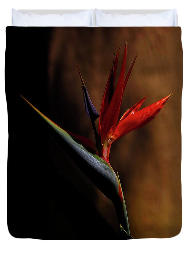 Bird Of Paradise Duvet Cover featuring the photograph Bird Of Paradise by Kandy Hurley
