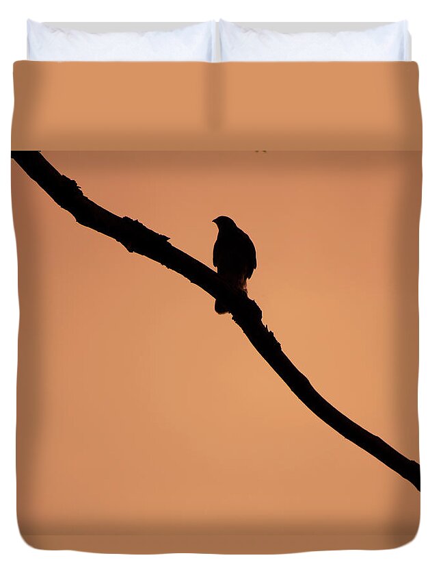 Bird Duvet Cover featuring the digital art Bird on a Branch by Geoff Jewett