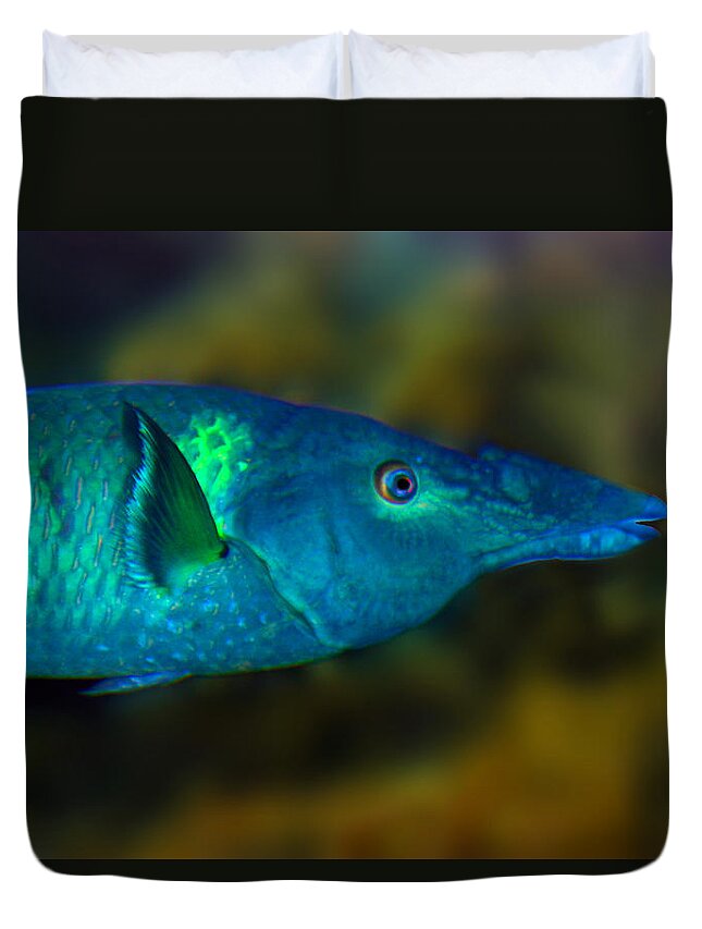 Bird Wrasse Duvet Cover featuring the photograph Bird Wrasse by Anthony Jones