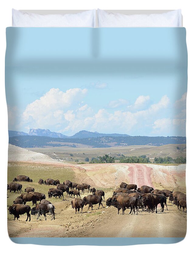 Estock Duvet Cover featuring the digital art Bison Herd, South Dakota by Heeb Photos