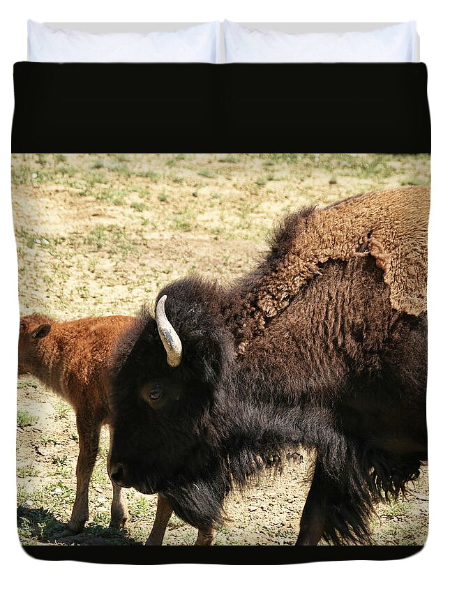 Buffalo Duvet Cover featuring the photograph Bison in North Dakota by Ryan Crouse