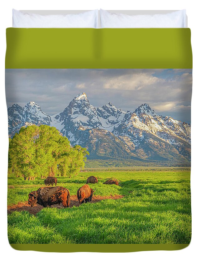 Bison Duvet Cover featuring the photograph Bison Morning 2011-06 02 by Jim Dollar