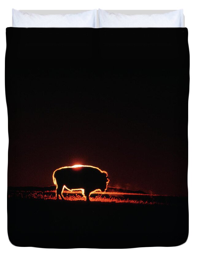 Dramatic Landscape Duvet Cover featuring the photograph Bison Slhouetted At Sunrise by Mark Newman