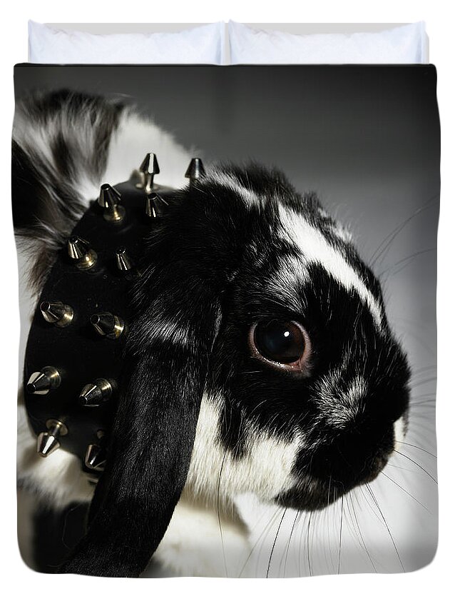 Black Color Duvet Cover featuring the photograph Black And White Rabbit, With Studded by Michael Blann
