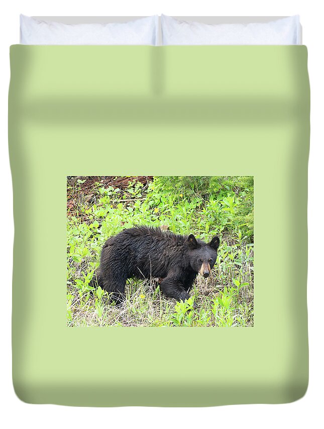 Bear Duvet Cover featuring the photograph Black Bear Browsing by Dennis Hammer