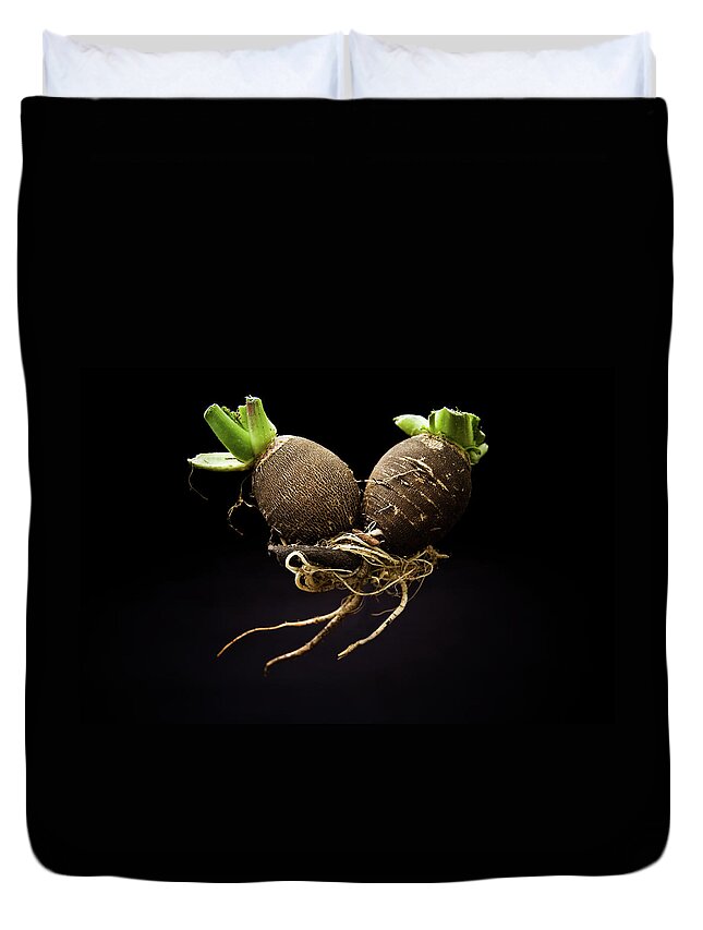 Two Objects Duvet Cover featuring the photograph Black Radishes by Dave Le