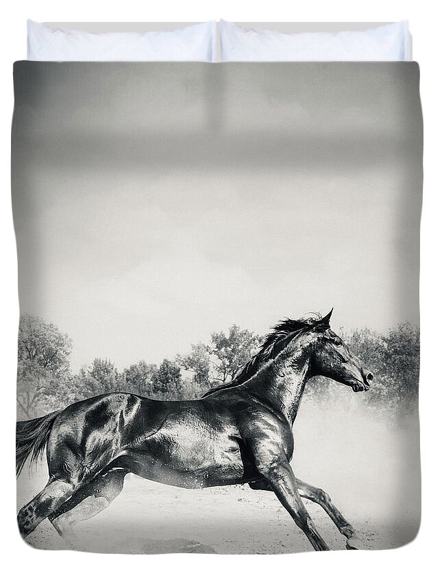 Horse Duvet Cover featuring the photograph Black stallion horse by Dimitar Hristov