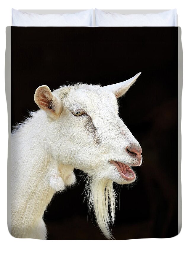 Bleating Goat Duvet Cover by John Van Decker - Fine Art America
