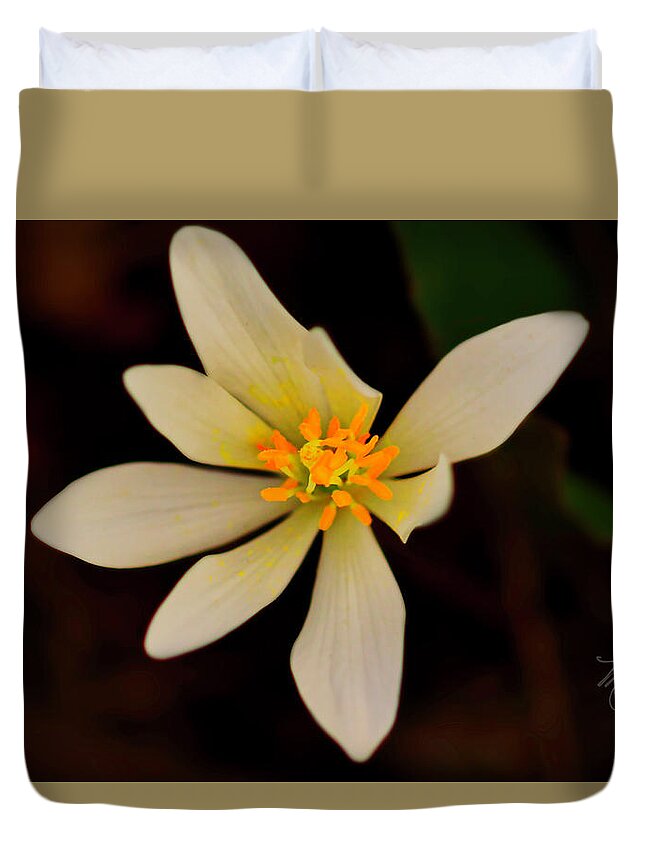 Macro Photography Duvet Cover featuring the photograph Bloodroot by Meta Gatschenberger