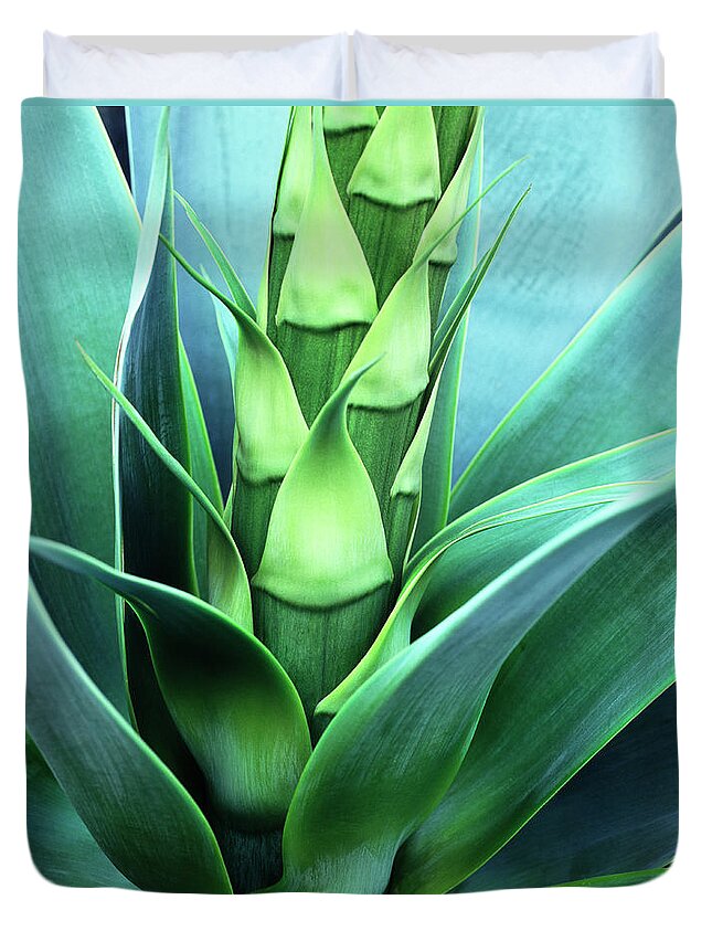 Agave Duvet Cover featuring the photograph Blue Agave by Oleg Moiseyenko