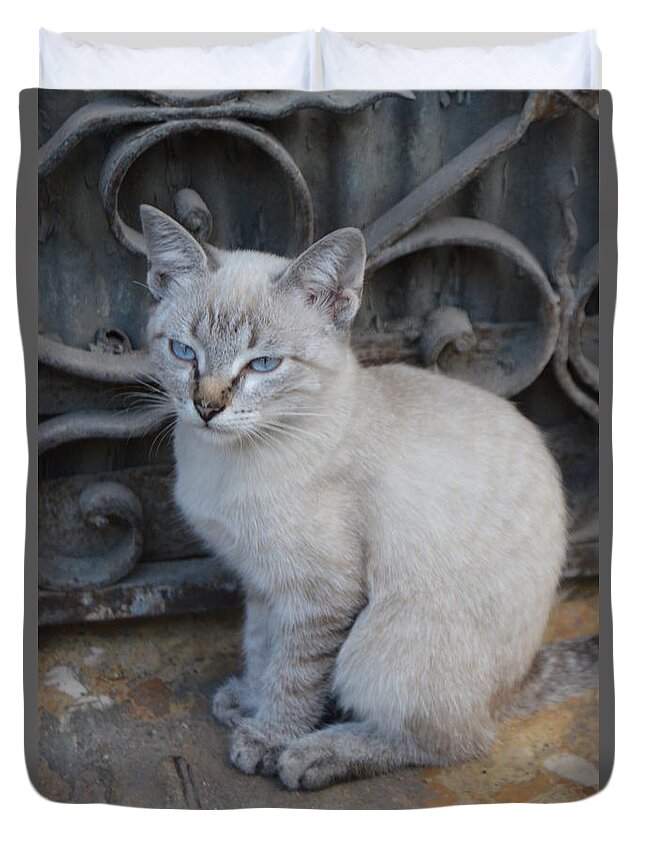 Cat Duvet Cover featuring the photograph Blue Eyed by Thomas Schroeder
