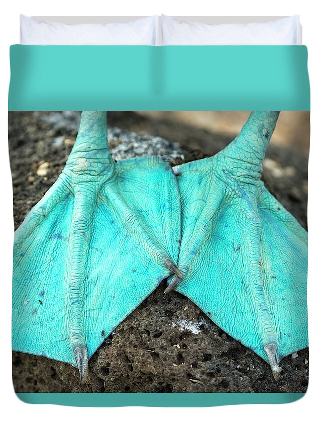 Animals Duvet Cover featuring the photograph Blue Footed Booby Feet by Tui De Roy