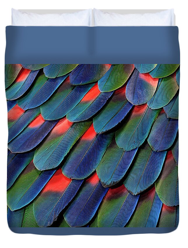 Natural Pattern Duvet Cover featuring the photograph Blue-headed Pionus Tail Feather Design by Darrell Gulin