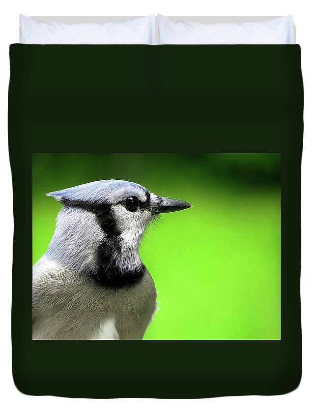 Northern Blue Jay Duvet Cover featuring the photograph Blue Jay Glamour Shot by Linda Stern