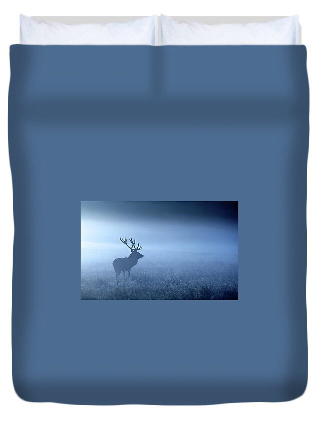 Horned Duvet Cover featuring the photograph Blue Mist by Markbridger