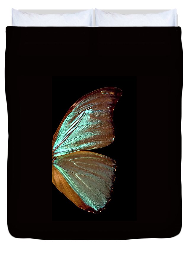 Insect Duvet Cover featuring the photograph Blue Morpho Butterfly Wing by Jcarroll-images
