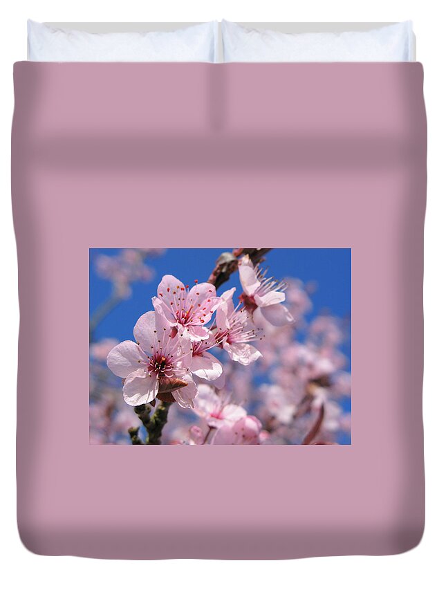 Sky Duvet Cover featuring the photograph Blue Sky Blossom by Atwag