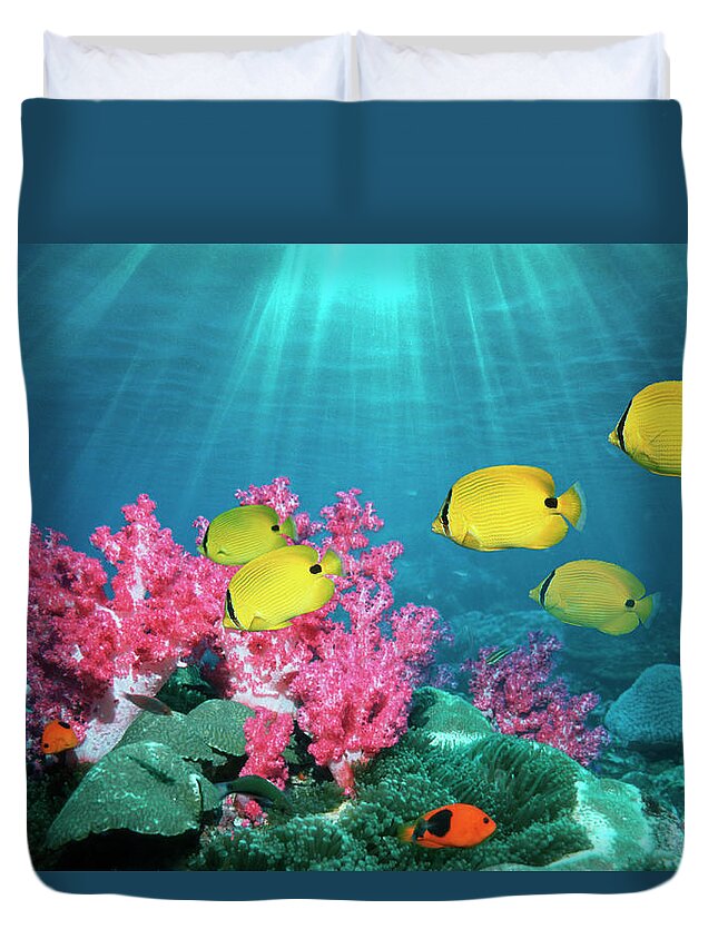 Underwater Duvet Cover featuring the photograph Bluespot Butterflyfish Chaetodon by Georgette Douwma