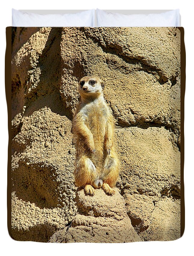 Meerkat Duvet Cover featuring the photograph Bob by Chris Smith