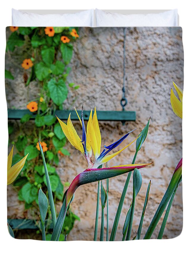 Bird Of Paradise Duvet Cover featuring the photograph Botanical Art by Marcy Wielfaert