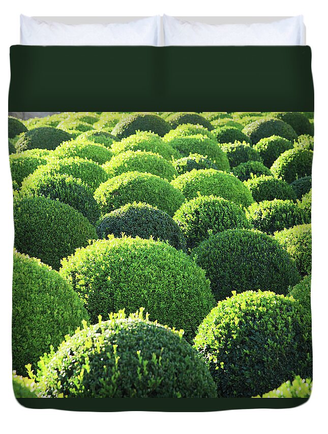 Tranquility Duvet Cover featuring the photograph Boxwood, Shape, Pattern by Hiroshi Higuchi
