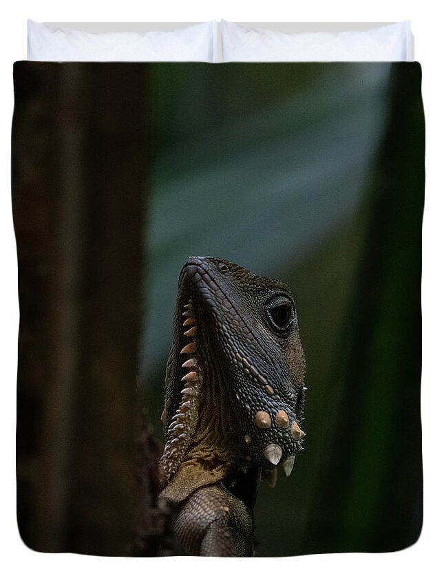 Australia Duvet Cover featuring the photograph Boyd's Forest Dragon by Patrick Nowotny