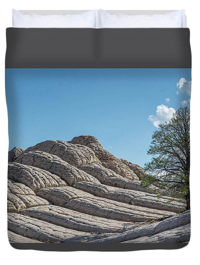 Brainrock Duvet Cover featuring the photograph Brain Rock Tree by Jerry Cahill