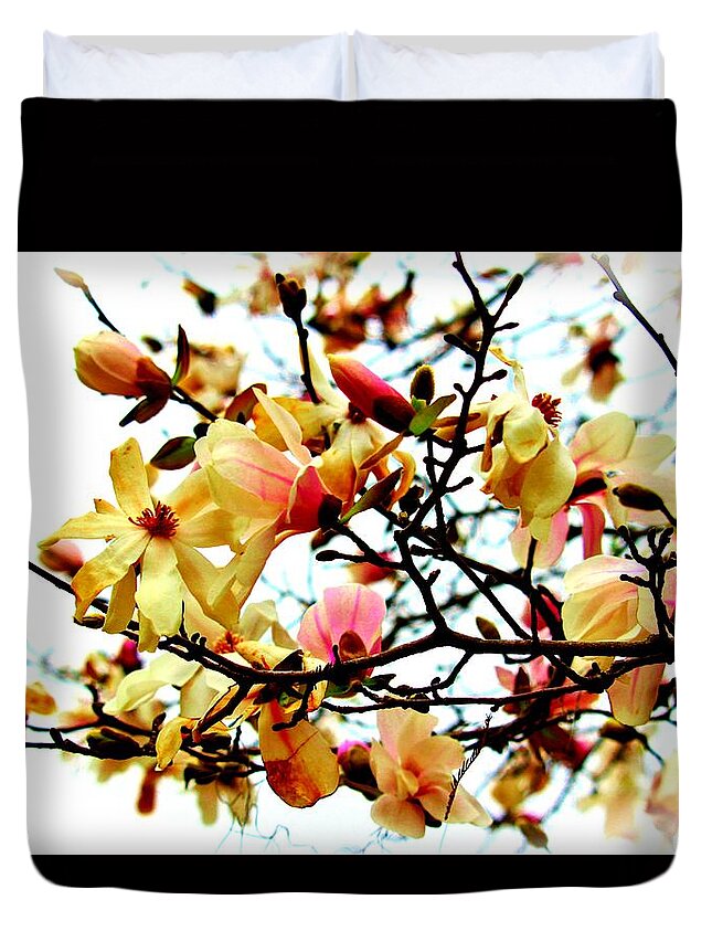 Magnolia Duvet Cover featuring the photograph Branch Of Magnolia Flowers by Cynthia Guinn