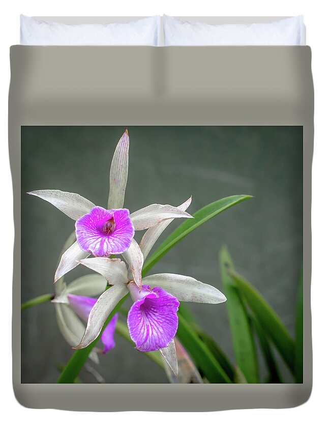 Brassavola Orchid Duvet Cover featuring the photograph Brassavola orchid by Debra Kewley